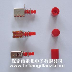琴键自锁开(kāi)关(含帽)