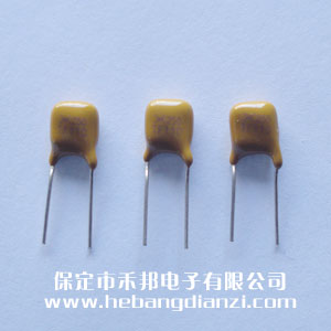 自恢复保险丝250V 0.11A