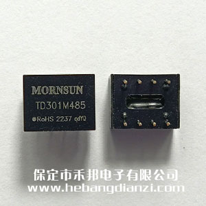 485隔离模块 TD301M485